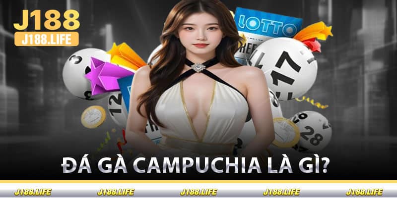 Đá Gà Campuchia Là Gì?