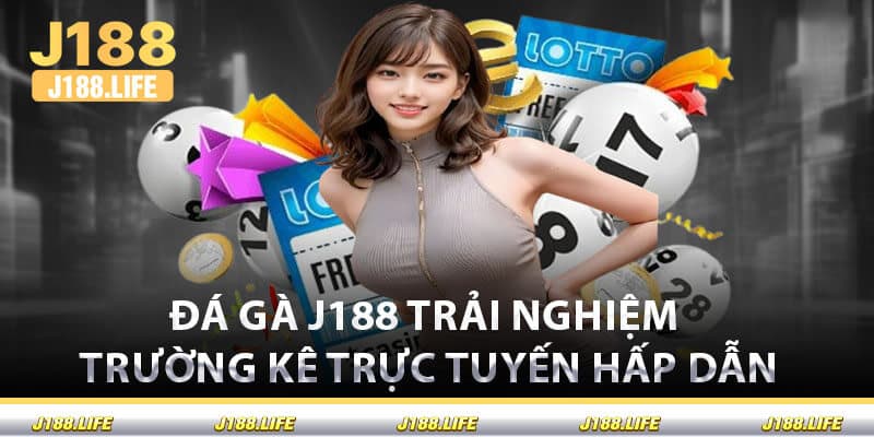 Đá Gà J188 Trải Nghiệm Trường Kê Trực Tuyến Hấp Dẫn