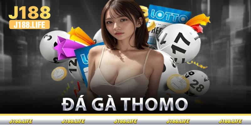 Đá Gà Thomo