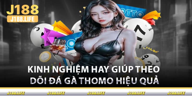 Kinh Nghiệm Hay Giúp Theo Dõi Đá Gà Thomo Hiệu Quả