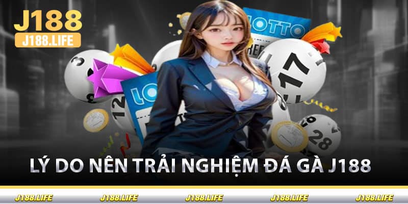 Lý Do Nên Trải Nghiệm Đá Gà J188